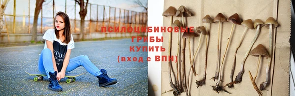 крисы Верхнеуральск